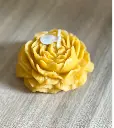 YELLOW FLO.webp