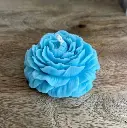 BLUE FLOWER.webp